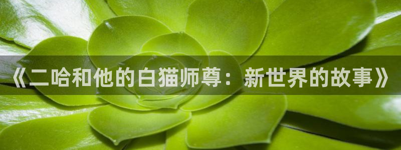 虫虫漫画完结作品推荐:《二哈和他的白猫师尊:新世界的故事》配图