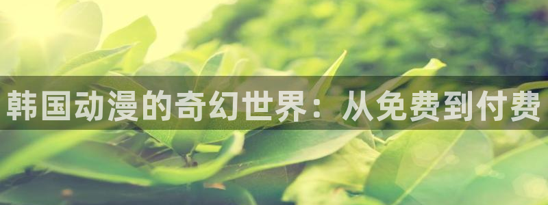 虫虫漫画新作：韩国动漫的奇幻世界：从免费到付费配图