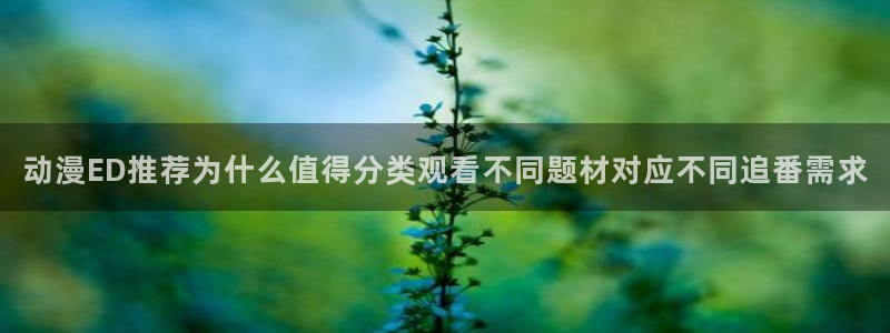 虫虫漫画完结：动漫ED推荐为什么值得分类观看不同题材对应不同追番需求配图