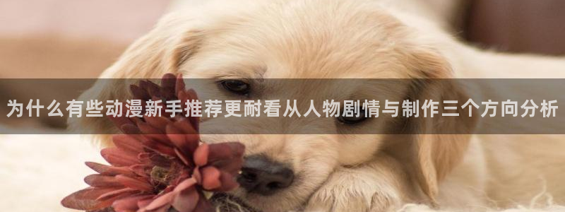 虫虫漫画网页版阅读：为什么有些动漫新手推荐更耐看从人物剧情与制作三个方向分析配图