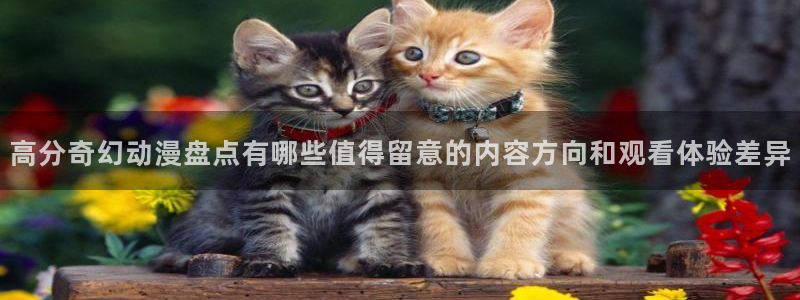虫虫漫画网站：高分奇幻动漫盘点有哪些值得留意的内容方向和观看体验差异配图