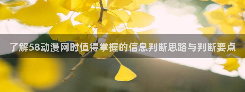 虫虫漫画最新更新:了解58动漫网时值得掌握的信息判断思路与判断要点配图